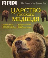 Russian Bears /   